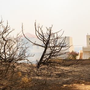 Βελτιωμένη η εικόνα των πυρκαγιών σε Μαγνησία, Λαμία, Ρόδο