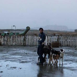 Dogman: Η <em>ιταλική</em> ταινία στο Ertflix που αξίζει να δείτε πριν κατέβει