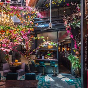 Το Noel επέστρεψε, πιο ανθισμένο από ποτέ