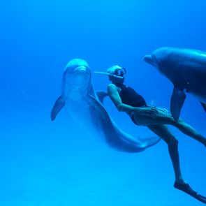 Παγκόσμια Ημέρα Γης και Dolphin Man στις Νύχτες Πρεμιέρας