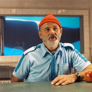 Οι 30 καλύτερες ταινίες του Bill Murray