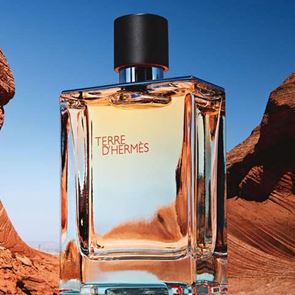 5 ξυλώδη <em>αρώματα</em> για το φθινόπωρο