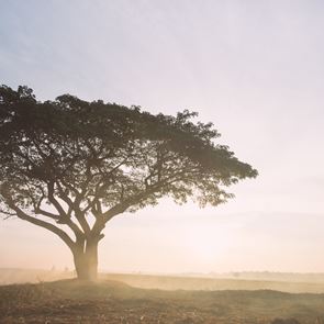 Αυτή είναι η πιο μολυσμένη πόλη στον κόσμο