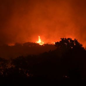 Συνεχίζεται η μάχη με τις φλόγες στην Αλεξανδρούπολη για τρίτη ημέρα