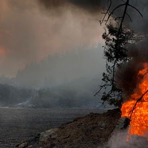 1.100 πυρκαγιές στη Μεσόγειο προβλέπουν οι Financial Times έως τα μέσα Αυγούστου