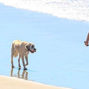 Ο πατέρας του Chris Hemsworth παραμένει 'φέτες' στα 66