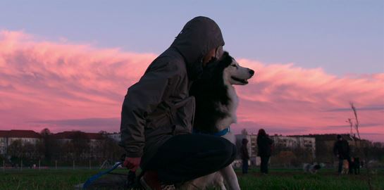 Dogs: Η νέα σειρά του Netflix δείχνει πώς τα σκυλιά σε κάνουν καλύτερο άνθρωπο