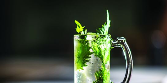 Οι μεγάλες προσδοκίες του highball