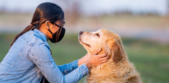 Οι σκύλοι ως ανιχνευτές του κορονοϊού στον άνθρωπο