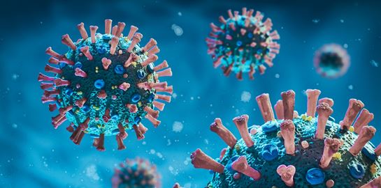 Τι είναι ο παρβοϊός;