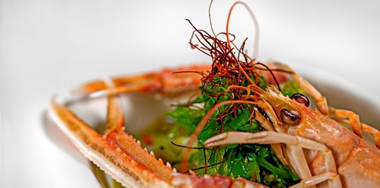 Ακροβόλι: Εκλεκτή ψαροφαγία στα νότια προάστια