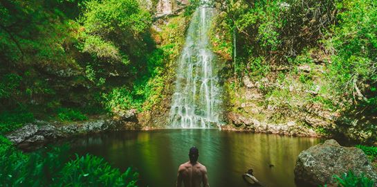 Τα αιθέρια έλαια είναι η καλύτερη εναλλακτική στα αρώματα