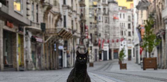 Η Ευρώπη μετά την καραντίνα
