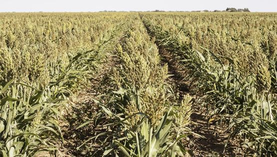 Οι προμήθειες του πλανήτη τελειώνουν και όλοι γνωρίζουμε ποιος φταίει