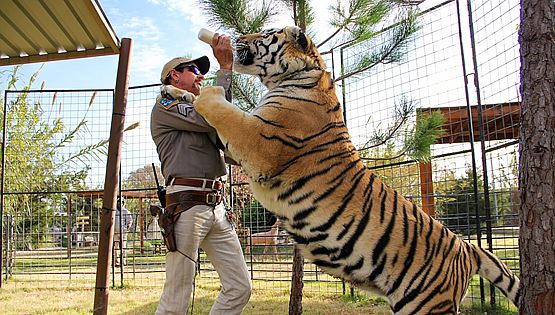 Ο Tiger King ζητά χάρη από τον Donald Trump μέσω της Kim Kardashian